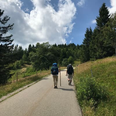 Westweg 2019 – Bild 334