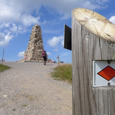 Westweg 2019 – Bild 335
