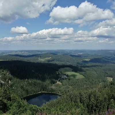 Westweg 2019 – Bild 336