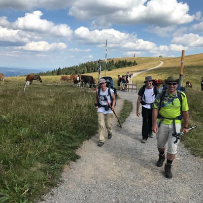 Westweg 2019 – Bild 340