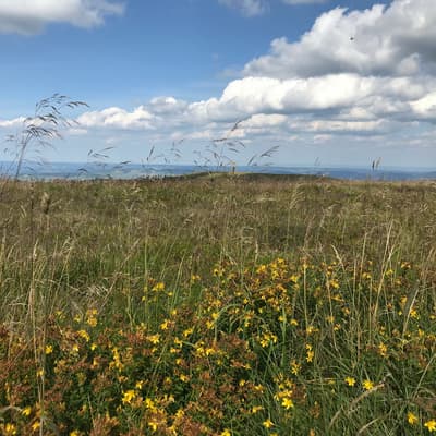 Westweg 2019 – Bild 341
