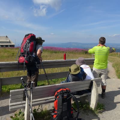 Westweg 2019 – Bild 343