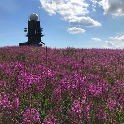 Westweg 2019 – Bild 344