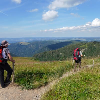 Westweg 2019 – Bild 346