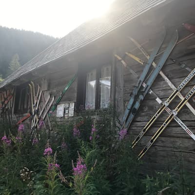 Westweg 2019 – Bild 360