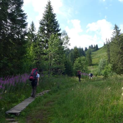 Westweg 2019 – Bild 361