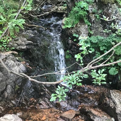 Westweg 2019 – Bild 362