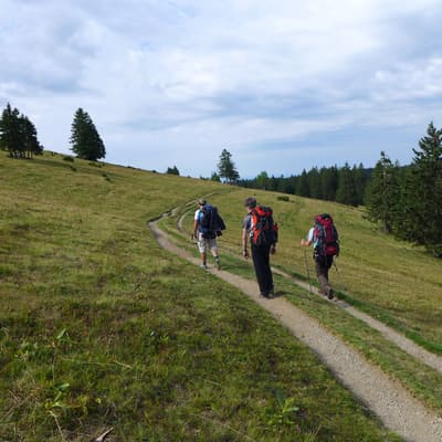Westweg 2019 – Bild 365