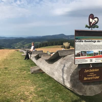 Westweg 2019 – Bild 368