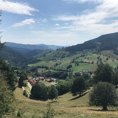Westweg 2019 – Bild 376