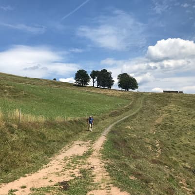 Westweg 2019 – Bild 378