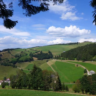 Westweg 2019 – Bild 381