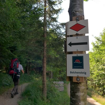 Westweg 2019 – Bild 382