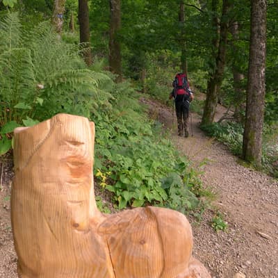 Westweg 2019 – Bild 385