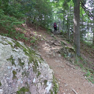 Westweg 2019 – Bild 387