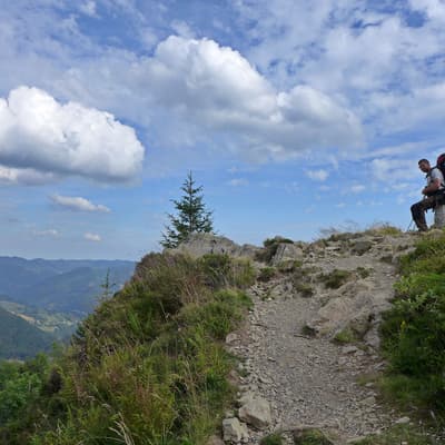 Westweg 2019 – Bild 389