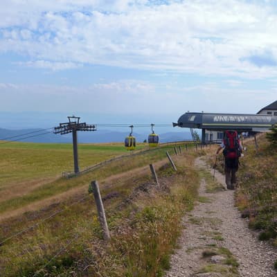 Westweg 2019 – Bild 391