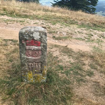 Westweg 2019 – Bild 394