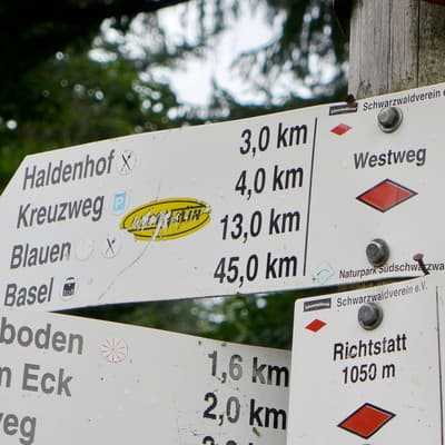 Westweg 2019 – Bild 400