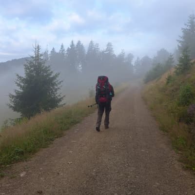 Westweg 2019 – Bild 402