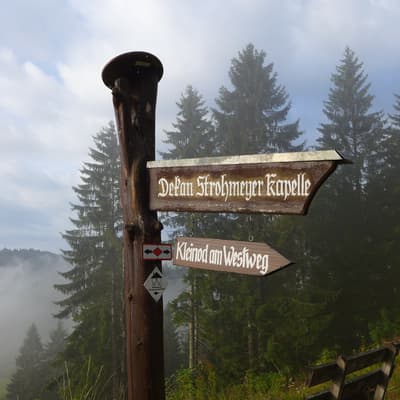 Westweg 2019 – Bild 407