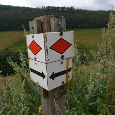 Westweg 2019 – Bild 416