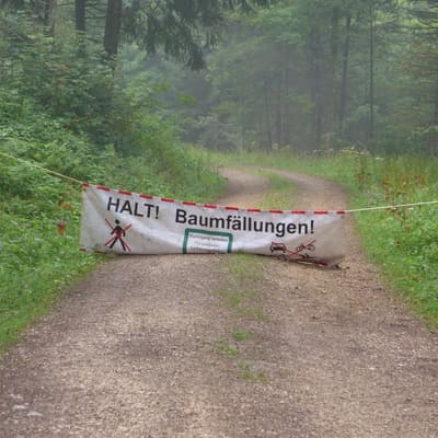 Westweg 2019 – Bild 418