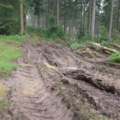 Westweg 2019 – Bild 419