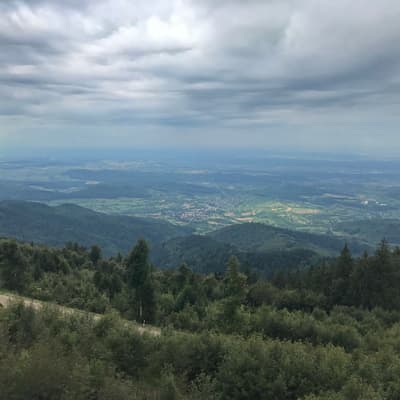 Westweg 2019 – Bild 424