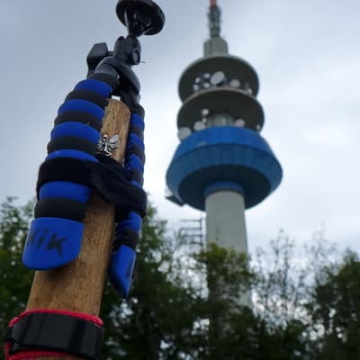 Westweg 2019 – Bild 427