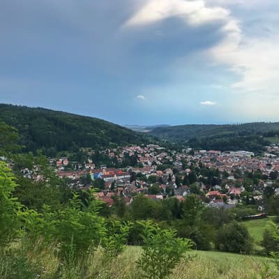 Westweg 2019 – Bild 433