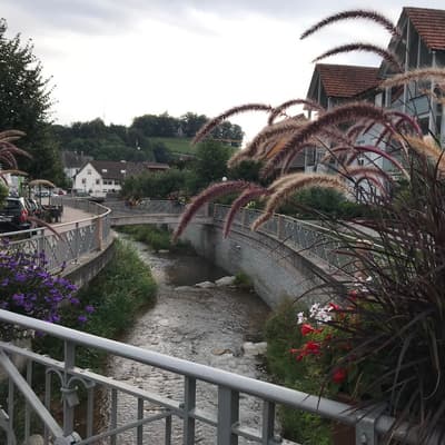 Westweg 2019 – Bild 438