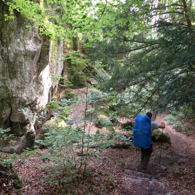 Westweg 2019 – Bild 439