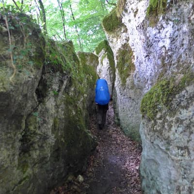 Westweg 2019 – Bild 440