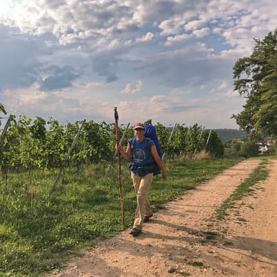 Westweg 2019 – Bild 444
