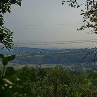 Westweg 2019 – Bild 447