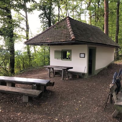 Westweg 2019 – Bild 448