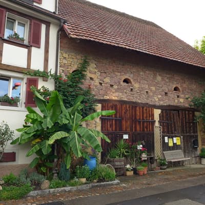 Westweg 2019 – Bild 452