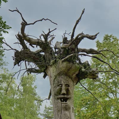 Westweg 2019 – Bild 454