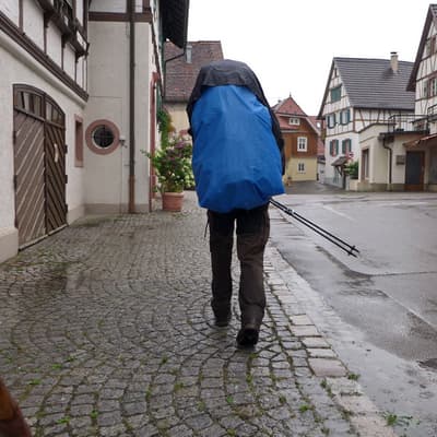Westweg 2019 – Bild 459