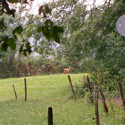 Westweg 2019 – Bild 460