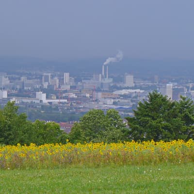 Westweg 2019 – Bild 462
