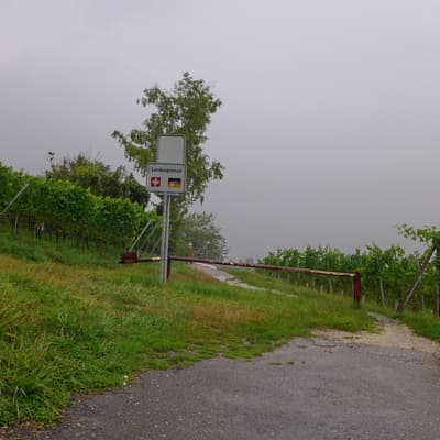 Westweg 2019 – Bild 463