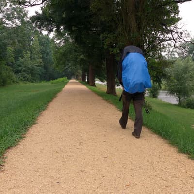 Westweg 2019 – Bild 464