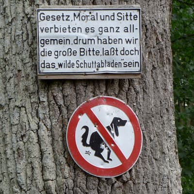 Ostweg 2020 – Bild 7
