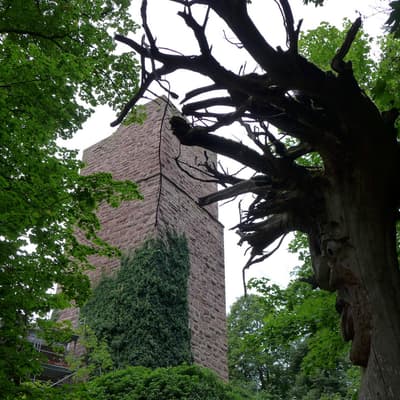 Ostweg 2020 – Bild 9