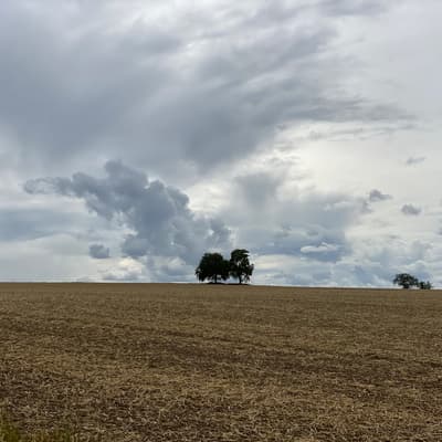 Ostweg 2020 – Bild 19