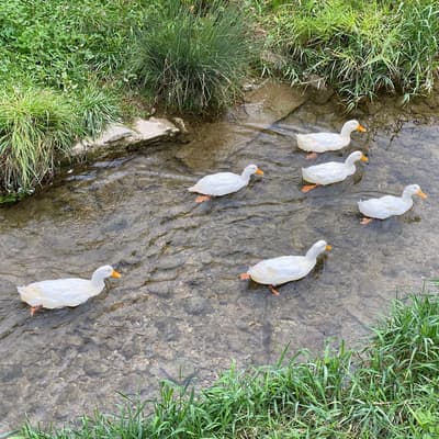 Ostweg 2020 – Bild 100