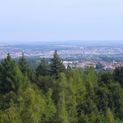 Mittelweg 2022 – Bild 10