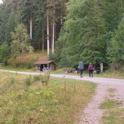 Mittelweg 2022 – Bild 23